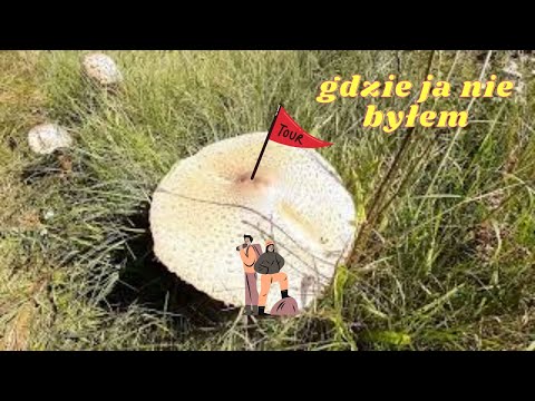 #55 Wykopki z rutusem . gdzie ja nie byłem ....