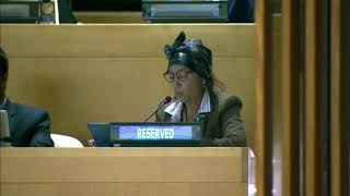 Fenmei Niahosa's Intervention at HLPF 2019: http://webtv.un.org