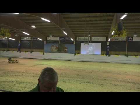 Livestream von Reiterjournal