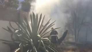 preview picture of video 'Namibia: bush fire in Eros Park, Windhoek'