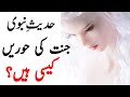 Hadees About Jannat Ki Hoor Jannat Ki Hoor Kaisi Hogi Islam Discovery