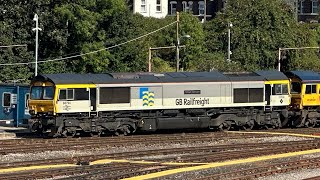 Going2thedogs visits Tonbridge West Yard (Sept 2024)