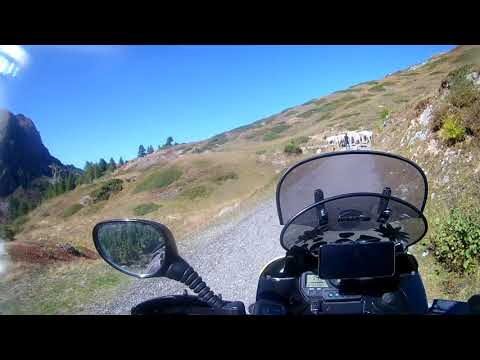 7 Transumanza delle mucche in prossimità del colle Esischie