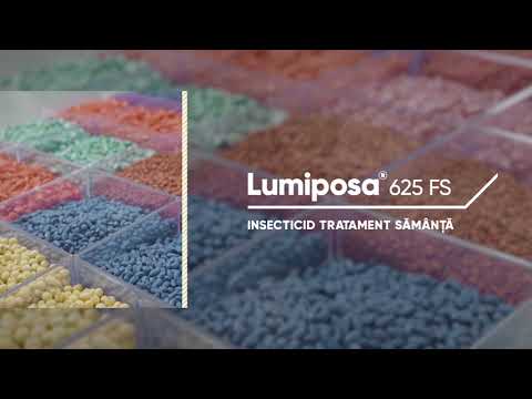 Lumiposa Corn Sustainability