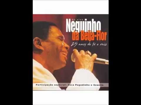 Festejo video