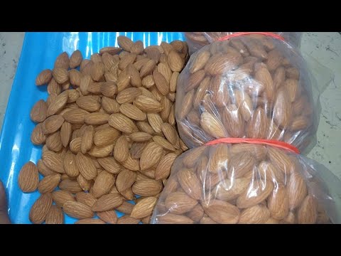 download lagu mp3 mp4 Where To Store Almonds, download lagu Where To Store Almonds gratis, unduh video klip Where To Store Almonds