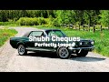 Shubh Cheques Perfectly Looped