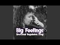 Big Feelings Emotional Regulation Song Feat Beau Askew