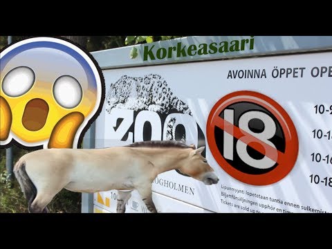 MITÄ SE TEKEE!? | KORKEASAARIDAY[GONE WRONG]