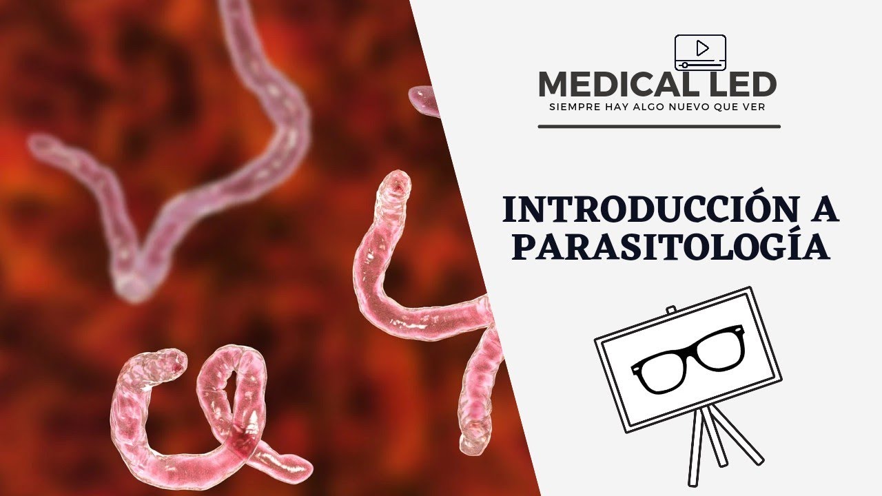 INTRODUCCIÓN A PARASITOLOGÍA: Generalidades y clasificación