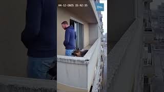 German Shepherd Pulls Owner Inside Moments Before High-Rise Balcony Collapse