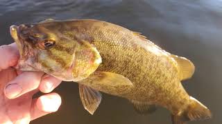 Grand River Fishing 6/16/21