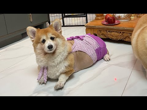 Tâm sự giữa eovi và ông già