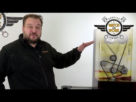 [DE] Watch and Work Wissen – Riemen in Öl