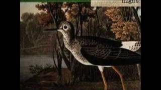 Jets to Brazil   Little Light