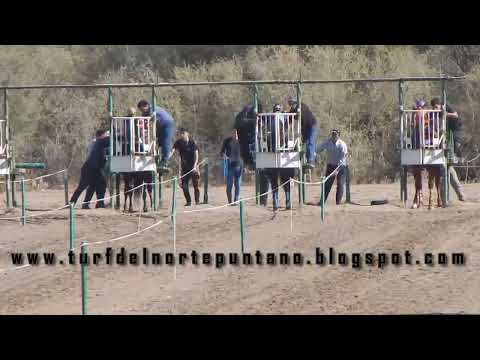 Facherito, San Luis (11-9-22)