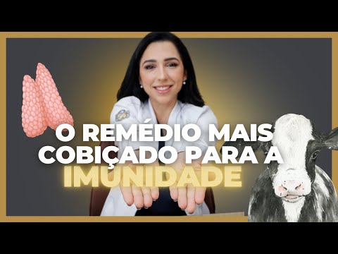 Monique Machado-9