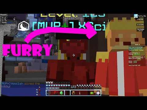 Hypixel with a Furry