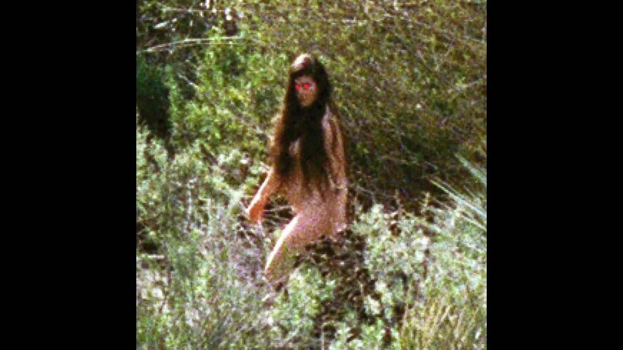 Sari Lightman - The Prize