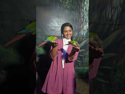 Day💚✨️#viral #travelvlog #cheraibeach #birds #shortvideo #shorts #travel #happiness #kerala #video