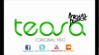 Miguel Duarte - Teasa (Original Mix)