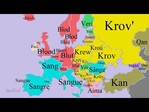 Human Body | European Languages Comparison