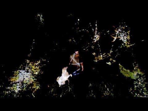 Artistic Nature Tree Mapping