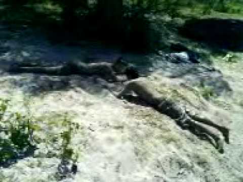 LOCURAS DEL RIO Y LA RAJADA DE TELE EN RUIZ