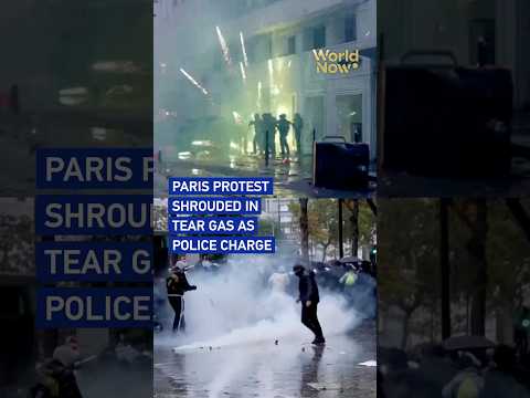Paris protest shrouded in tear gas as police charge