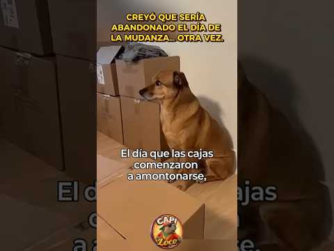 Creyó que sería ab4ndon4do el día de la mudanza… otra vez.