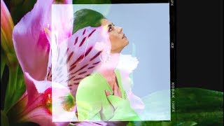 MARINA - Karma (Lyric Video) MARINA - Karma (Lyric Video)