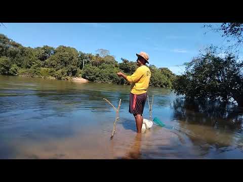 Rio palmas PARANÁ-TOCANTINS 