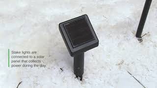 Solar Reindeer Stake Lights by Fox River™ Creations, Set of 5 | Walter Drake