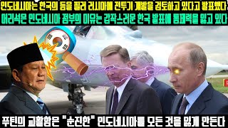 인도네시아는 한국의 등을 찔러 러시아에 전투기 개발을 검토하고 있다고 발표했다 | 어리석은 인도네시아 정부의 이유는 갑작스러운 한국 발표에 통제력을 잃고 있다 [해외반응]