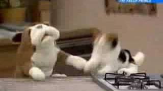 Will Smith beat box as a dog