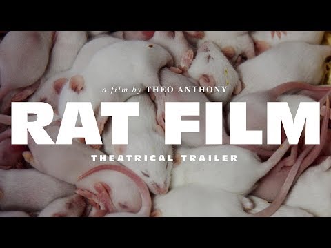 Thumbnail of the video: RAT FILM a film by Theo Anthony • Theatrical Trailer