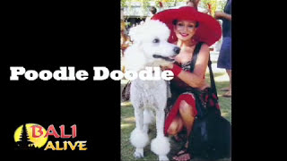 preview picture of video 'Lizzie Love the Poodledoodle in Bali'