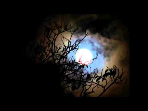 Μαύρο Λούκι & Αλλοπρόσαλλος - Νύχτα Γήινη