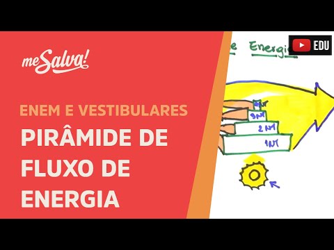 Me Salva! ECO18 - Ecologia - Pirâmide de fluxo de energia
