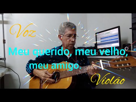 Pai: Meu querido, velho amigo - Marcélio Amaro