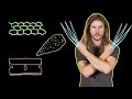 Could Wolverine S Claws Cut Superman Because Science W Kyle Hill