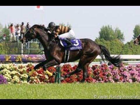 2017 JRA Tenno Sho Spring _ KITASAN BLACK