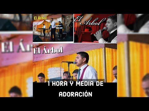 El Árbol  I   Una hora y media de adoración