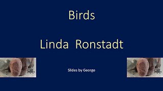 Linda Ronstadt   Birds  KARAOKE