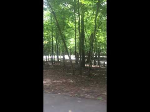 Driving out of the camping areas.