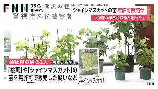 シャインマスカットなど苗を無許可販売か　警視庁のサイバーパトロールで発覚（2026年10月21日）