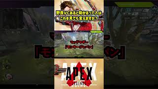 野良VCあると助かるって人はこれを見ても言えますか？【APEX日中友好暴言集】