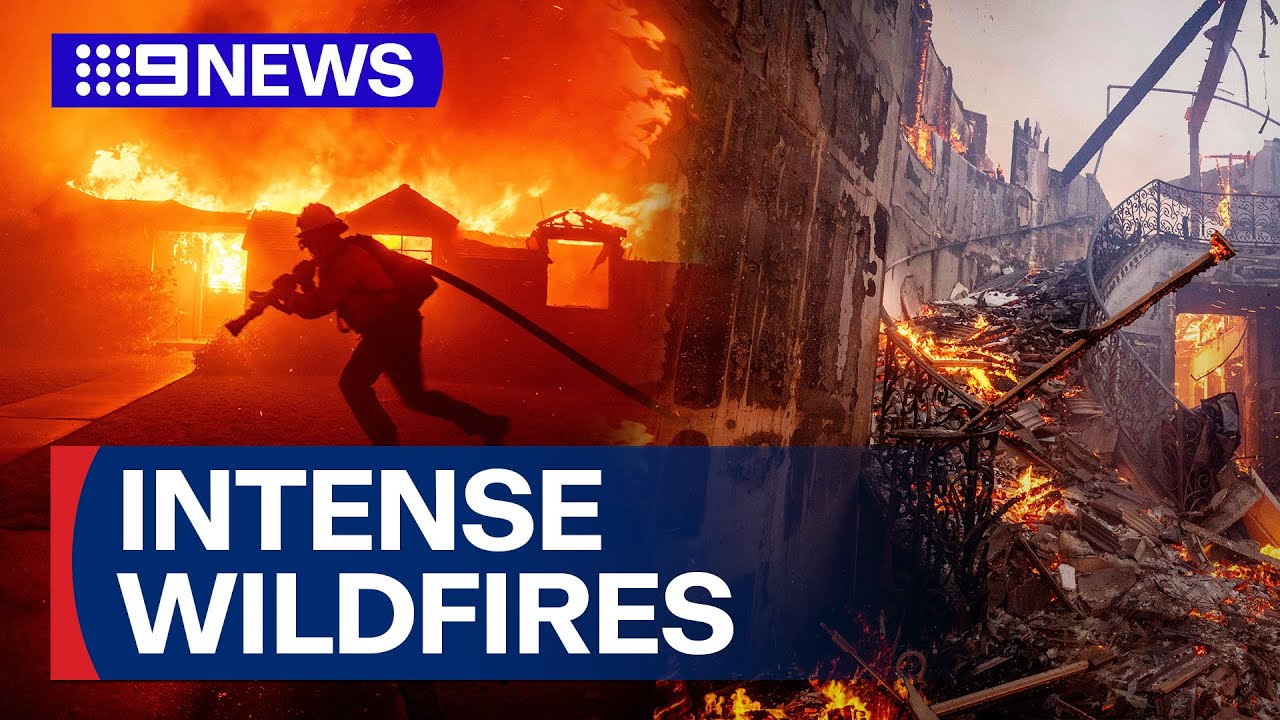 State of Emergency in Los Angeles as forest fires destroy part of city | 9 News Australia