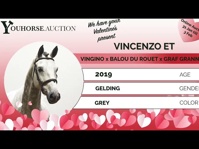Vincenzo showvideo