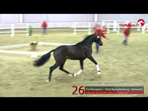 26 Junghengst v. For Romance - Fürst Nymphenburg